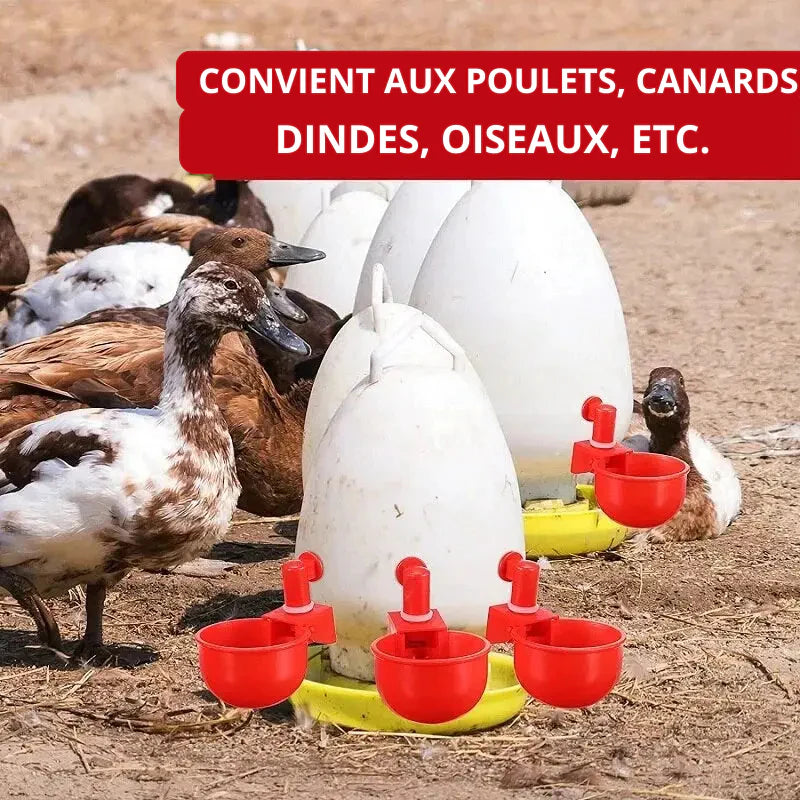 🎁 𝟓 𝐚𝐜𝐡𝐞𝐭𝐞́𝐬 = 𝟓 𝐨𝐟𝐟𝐞𝐫𝐭𝐬 | Distributeur automatique d'eau