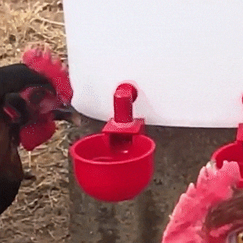 🎁 𝟓 𝐚𝐜𝐡𝐞𝐭𝐞́𝐬 = 𝟓 𝐨𝐟𝐟𝐞𝐫𝐭𝐬 | Distributeur automatique d'eau